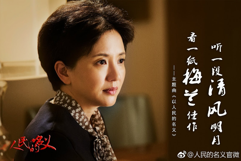 In the Name of People / Ren Min De Min Yi China Drama